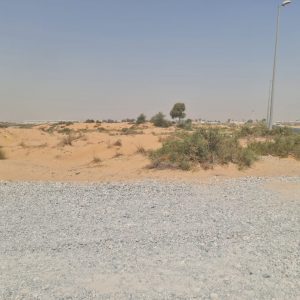 Al Zahya Villa Plots