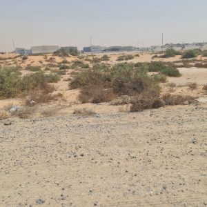 A l Zahya Villa Plots